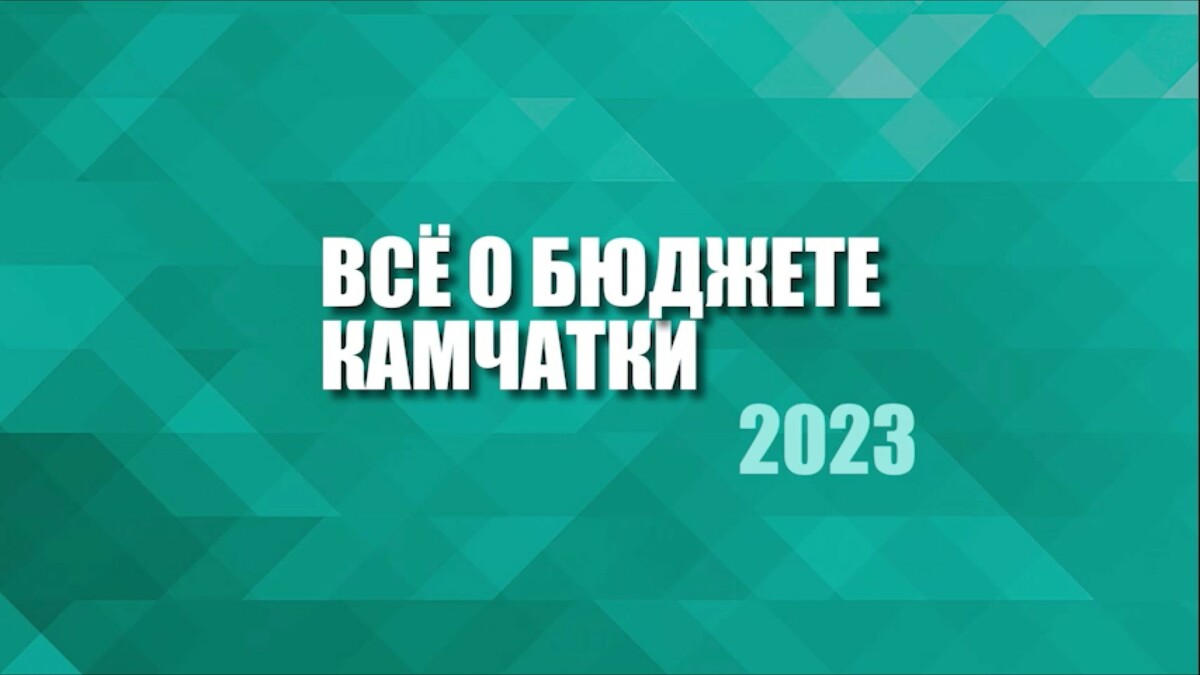 Почти 12 % расходов бюджета Камчатки в 2023 году будет направлено на меры соцподдержки жителей