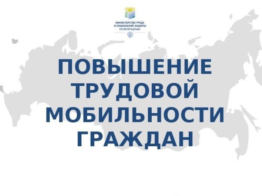 46 высококвалифицированных специалистов прибыли на Камчатку в 2023 году для работы на предприятиях полуострова