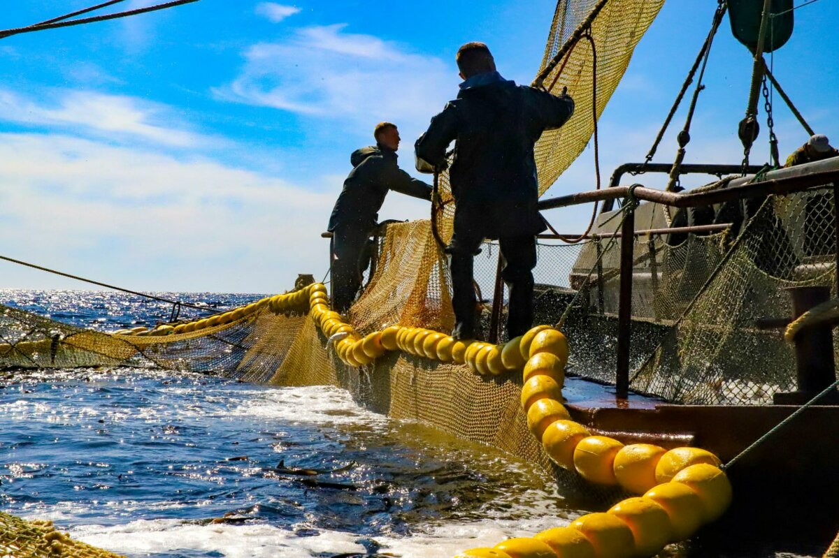 Заседание Камчатского рыбохозяйственного совета прошло в регионе