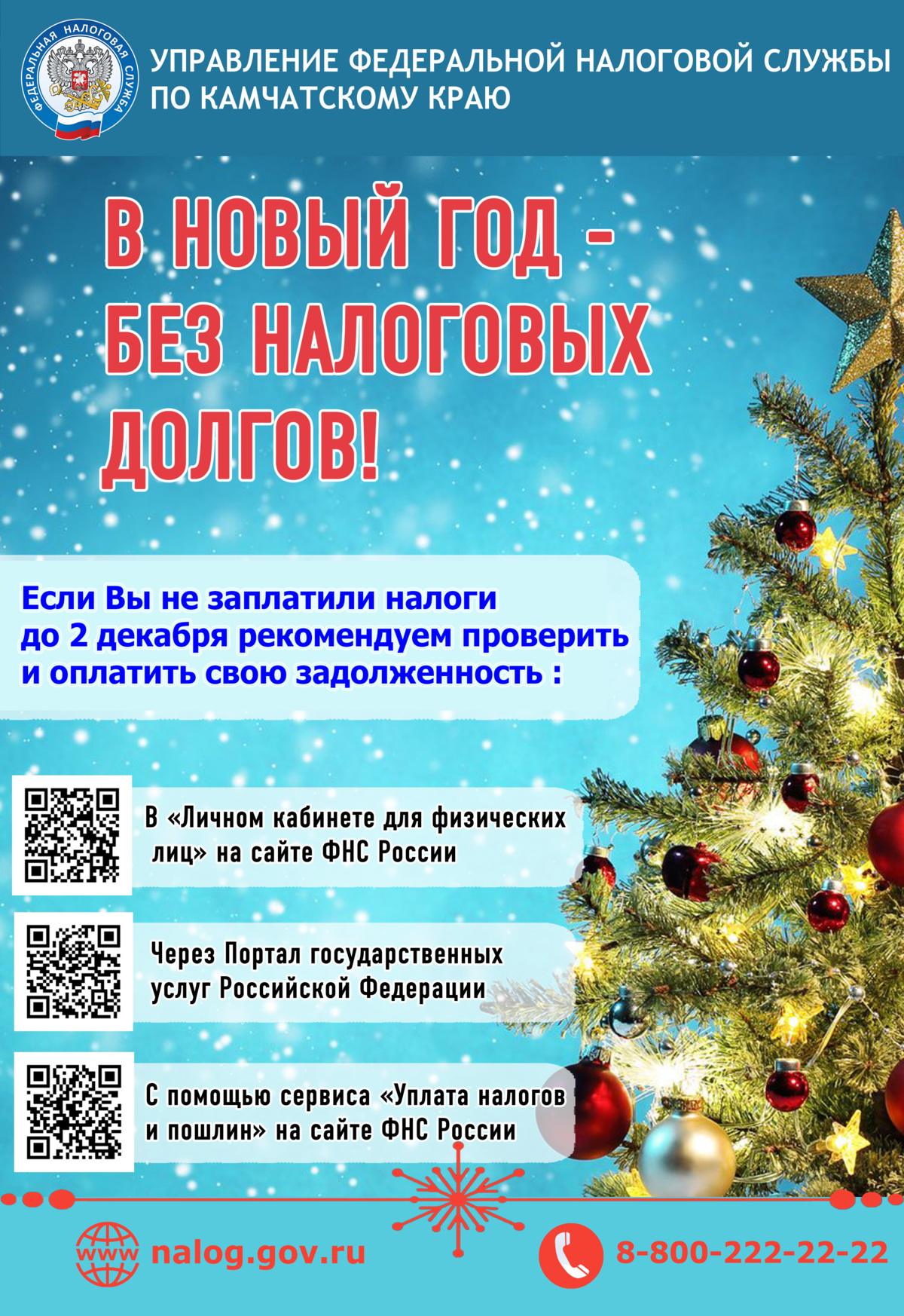 Встречайте Новый год без налоговых долгов!!!